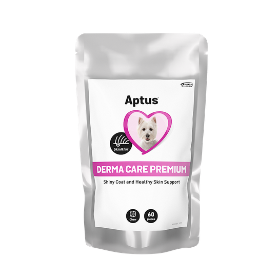 Aptus Derma Care Premium purutabletti 60 kpl